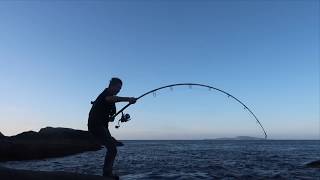 Fishing the South Coast rocks for huge fish [upl. by Hcirdla]