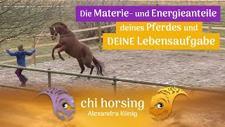 Die Materie und Energieanteile Deines Pferdes weisen Dir den Weg zu Deinen Lebensaufgaben [upl. by Michal]