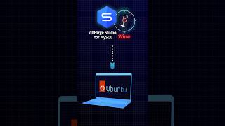 dbForge Studio for MySQL Installation via Wine [upl. by Ailimat]