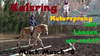 Halsring NATURSPRUNG was können wir nicht   MischMasch 6 [upl. by Acinonrev]