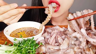 RAW OCTOPUS ASMR NO TALKING EATING SOUNDS MUKBANG KOREAN ㅣ산낙지 먹방 노토킹 리얼사운드 [upl. by Eilrebmik]