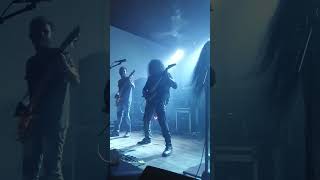 Genetic Fallacy  Shaft And Desires Live  Mosh Scream Rock XVII 2024 melodicdeathmetal Slmetal [upl. by Germain876]