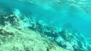 Snorkel diving in Lanzarote Playa Blanca  Atlantic Gardens Oct 2025 [upl. by Munroe]