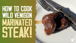 How to cook a TASTY venison steak marinade recipe [upl. by Reivilo421]