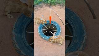 Survival Skills Simple But Very Useful with rabbit deep hole trap shorts survival outdoors [upl. by Takeshi112]