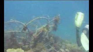 Diving Structures April 2005 Part 1 [upl. by Keane820]