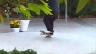 Rodney Mullen VS Daewon Song Almost Round 3 [upl. by Llezniuq122]