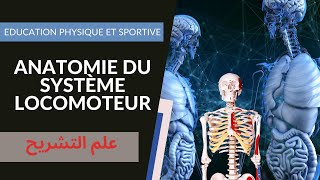 Anatomie de lappareil locomoteur  علم التشريح الجزء الأول [upl. by Llirrehs]