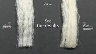 An Extreme Test Aveda vs a Leading Salon BondBuilding Pro Treatment [upl. by Jb]