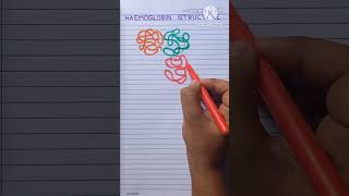 Haemoglobin Structure Proper viral shorts youtubeshorts neet biology drawing shortvideo [upl. by Meela]