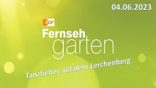 ZDF Fernsehgarten 04062023  Tanzfieber auf dem Lerchenberg Discofox amp mehr Ganze Sendung [upl. by Hsatan384]