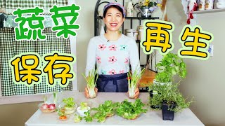 宅家系列： 蔬菜怎么保存时间更久？什么蔬菜适合水养天天都能吃新鲜？ 唐韵美食 [upl. by Hsitirb710]