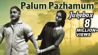 Palum Pazhamum Tamil Movie Songs Jukebox  Sivaji Ganesan Saroja Devi  Classic Songs Collection [upl. by Elwina]