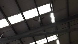 Newer Xpelair whispair ceiling fans in pets at home Chester [upl. by Orutra296]