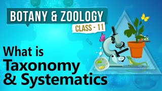 What is Taxonomy and Systematics  Diversity in Organisms  Biology Class 11 [upl. by Meletius]