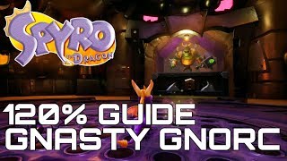 Spyro The Dragon Reignited 120 Guide GNASTY GNORE ALL DRAGONS GEMS EGGS [upl. by Platus]