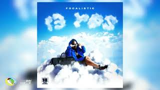 Focalistic  Lephodisa  ft Mellow amp Sleazy  Vyno keys and DJ Tshegu official offers [upl. by Uziel276]