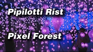 Pipilotti Rist  Pixel Forest  New Museum  Preview [upl. by Irihs]