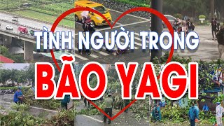 Tình người trong bão Yagi [upl. by Lebatsirhc]