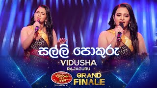 Salli Pokuru සල්ලි පොකුරු  Vidusha Rajaguru  Derana Dream Star Season 11  GRAND FINALE [upl. by Ylrehc335]