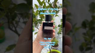 YSL Y EDP for Sunday Brunch viralshorts perfumecollection menperfume india fragrance sotd ysl [upl. by Nraa720]