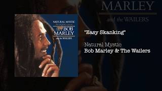 quotEasy Skankingquot  Bob Marley amp The Wailers  Natural Mystic 1995 [upl. by Noach]