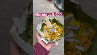 Haridwar Famous Street Food  Kachori Alloo Haridwar  Haridwar Food Tour haridwar [upl. by Retluoc]