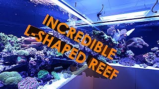 INCREDIBLE LSHAPED REEF AQUARIUM 3500 LITRES [upl. by Atilem]