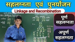 Linkage and Recombination सहलग्नता एवं पुनर्योजन Types of Linkage पूर्ण सहलग्नता अपूर्ण सहलग्नता। [upl. by Lapotin]