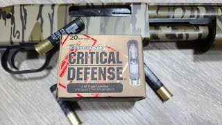 Hornady Critical Defense 410 Triple Defense In A Shotgun Shockingly Good Results [upl. by Marchese]