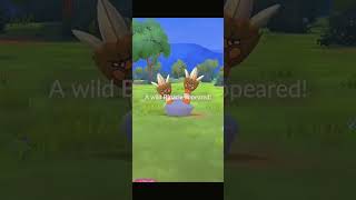 Uncover Binacle Spotlight Hour Secrets  Pokémon GO Ultimate Guide [upl. by Oona66]