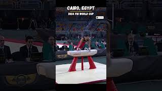 Ahmad Abu AlSoud  Gold Medal Pommel Horse  FIG World Cup 2024 [upl. by Bollay]