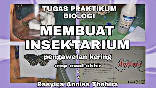 PENGALAMAN TUGAS PRAKTIKUM BIOLOGI–PENGAWETAN INSEKTARIUM KERING by RASYIQA ANNISA THOHIRA [upl. by Lehcem]