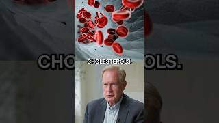 What Actually Causes High Cholesterol  Dr Robert Lustig [upl. by Ulda703]