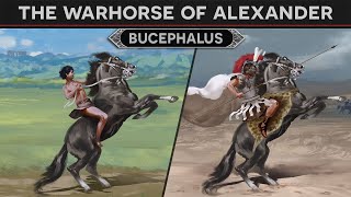 Bucephalus  Warhorse of Alexander the Great DOCUMENTARY [upl. by Moncear]