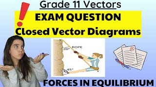 Gr 11 Equilibrium closed vector diagram EXAM QUESTION [upl. by Aekahs]