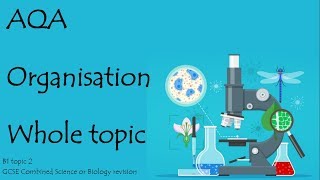 The whole of ORGANISATION AQA 91 GCSE Biology or combined science for paper 1 [upl. by Lishe]