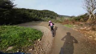 New Glentress Blue Flow Trails Harrys Blue into Turn and Burn with Freya 9 Nukeproof Cub Scout 24 [upl. by Sutton]