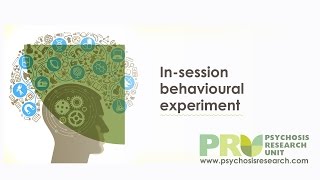 CBT for Psychosis Insession behavioural experiment [upl. by Lebam901]