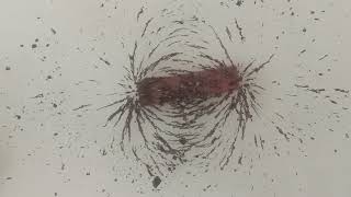 Visualizing Magnetic field lines around bar amp U Shaped magnets  Physics demo  Grade 912 English [upl. by Schriever135]