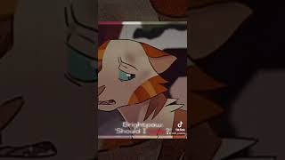 Swiftpaw and Brightpaw edit CHECK DESCRIPTION AND COMMENTS [upl. by Jehias]