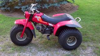 1984 Honda 125M 3 Wheeler ATC [upl. by Akinet282]