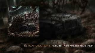 Epicardiectomy quotRelics From Malodorous Pilequot Full Album [upl. by Theresita]