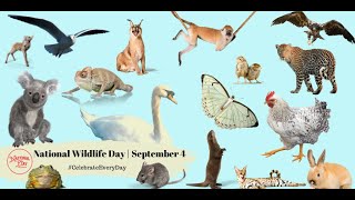 National Wildlife Day  September 4 [upl. by Klecka]