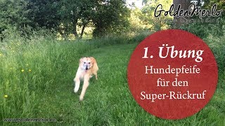 Hundepfeife für den SuperRückruf   Das erste Training [upl. by Hnoj121]