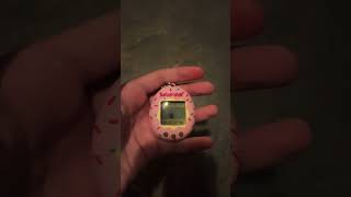 My tamagotchi [upl. by Naitsabes]