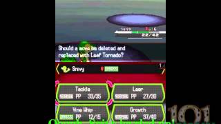 How To Obtain Everstones in Pokemon Black [upl. by Carrissa]