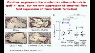 Microbiome and Cardiovascular Disease Biomarkers  Stanley Hazen [upl. by Hatch342]