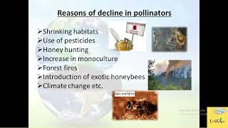 Role of pollinators in crop production  loksewa aayog taiyari [upl. by Vierno]