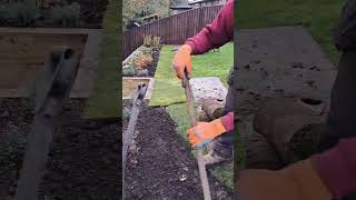 Turfing gardenlandscaping gardendesign gardening landscaping shorts stihl garden turf [upl. by Amsab785]